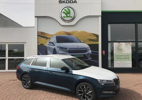 dolnośląskie Skoda Superb cena 182000 przebieg: 5, rok produkcji 2024 z Koszalin